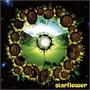Starflower: Celebrating The Spirit Of Brian Wilson & The Beach Boys 