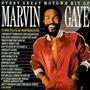Every Great Motown Hit Of Marvin Gaye (1983)