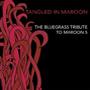Tangled In Maroon: The Bluegrass Tribute To Maroon 5