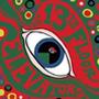 The Psychedelic Sounds of the 13th Floor Elevators (1966)